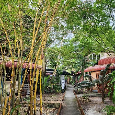 Blissfull Sweet Inn Pantai Cenang  Zewnętrze zdjęcie