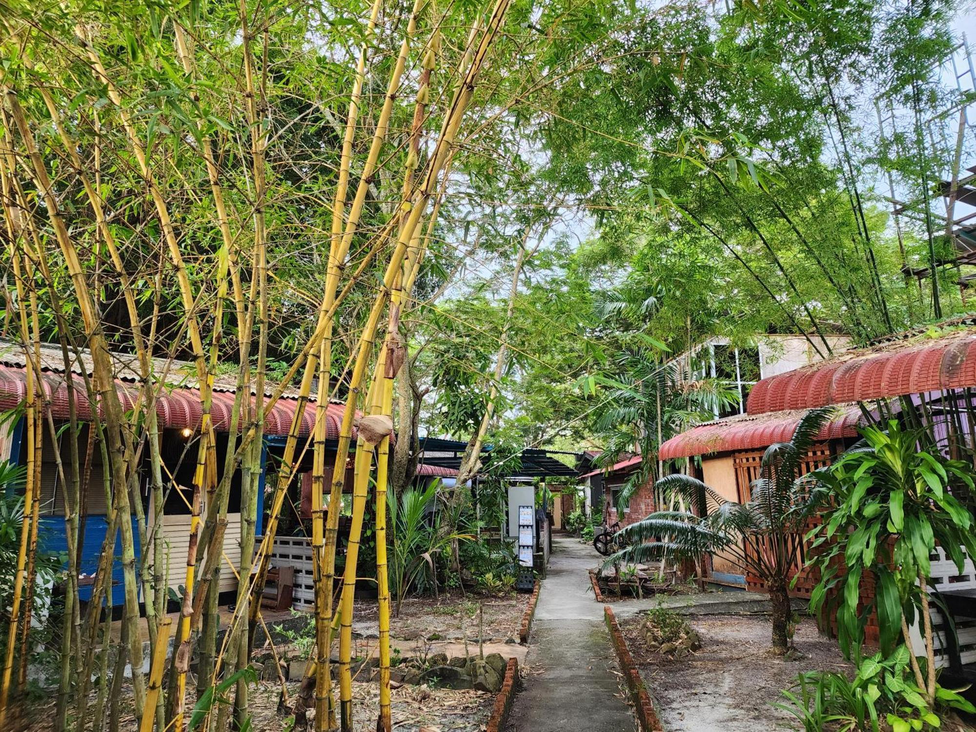 Blissfull Sweet Inn Pantai Cenang  Zewnętrze zdjęcie
