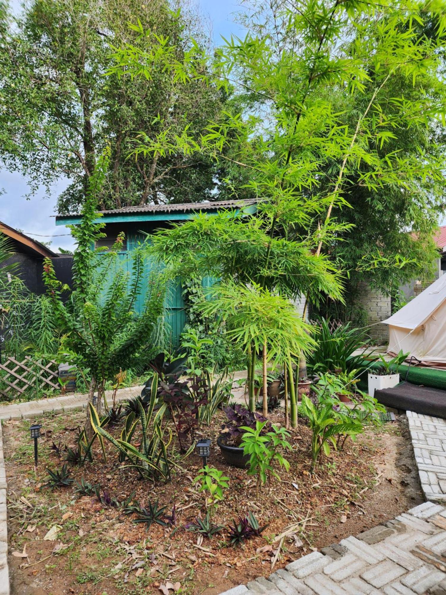 Blissfull Sweet Inn Pantai Cenang  Zewnętrze zdjęcie